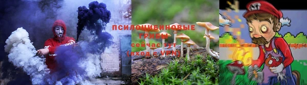 дживик Костерёво