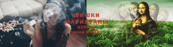 дживик Костерёво