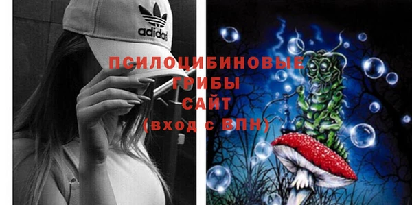 дживик Костерёво