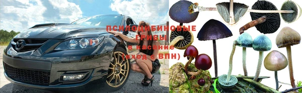 MESCALINE Корсаков